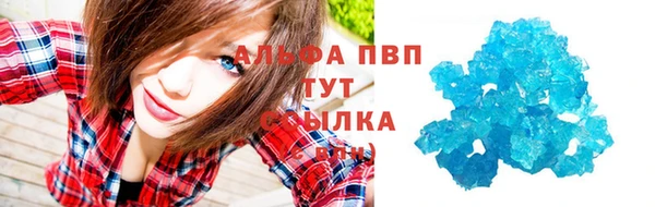 PSILOCYBIN Медвежьегорск