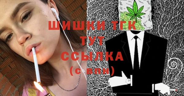 PSILOCYBIN Медвежьегорск
