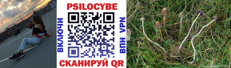 Галлюциногенные грибы Psilocybine cubensis  купить наркотик  блэк спрут зеркало  Чулым 